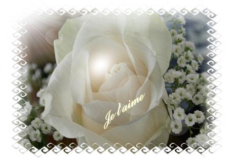 je t'aime